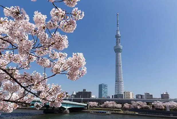 元桜上野浅草高級民泊最大8人駅6分高級ブランドベッド家庭映画館無料自転車 Tokyo 0*,  Japan
